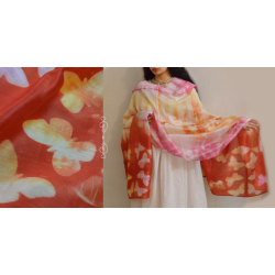 मलंग ☙ Chanderi Silk Clamp dyed Dupatta { तितली } ☙